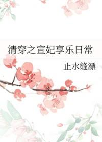 清穿之宣妃 淡忘伤感美