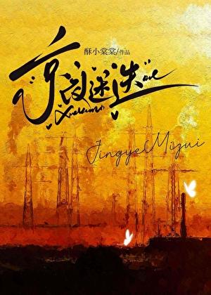 京夜迷迭txt