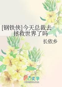 钢铁侠救总统