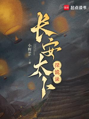 长安探案