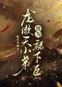 龙傲天是哪本