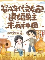 穿成年代女配文