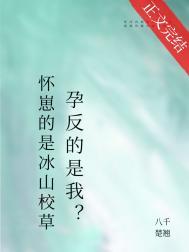 怀崽的是清冷美人宿敌孕反免费阅读