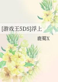 游戏王5dszero