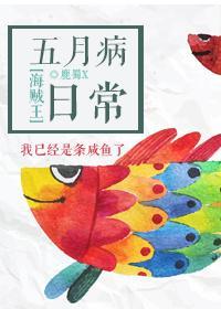 穿越海贼王五月罗宾