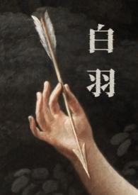 白羽鸡