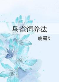 海贼王鸟笼是怎么消失的