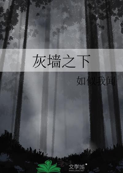灰墙之下晋江