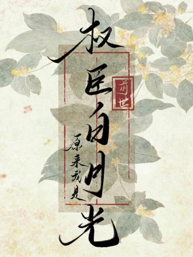 回到亡妻年少时讲的什么