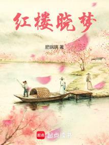 最红楼笔趣阁免费阅读