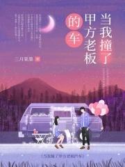 当我撞了甲方老板的车txt