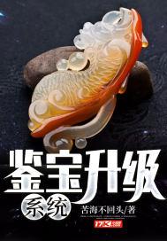 鉴宝txt