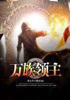 万族领主类
