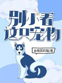 别小看这只宠物 会做菜的猫.txt