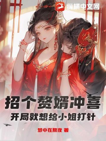 招赘婿婚介所