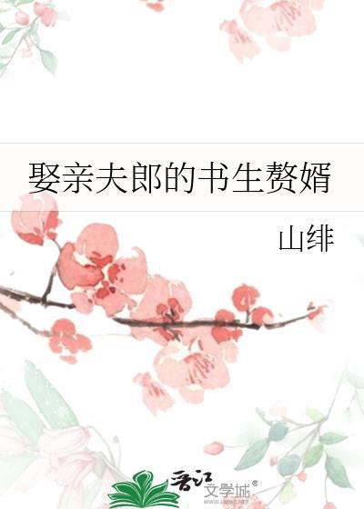夫郎的赘婿书生