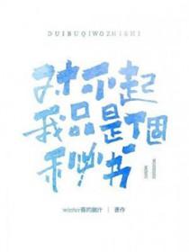 对不起，我只是个秘书