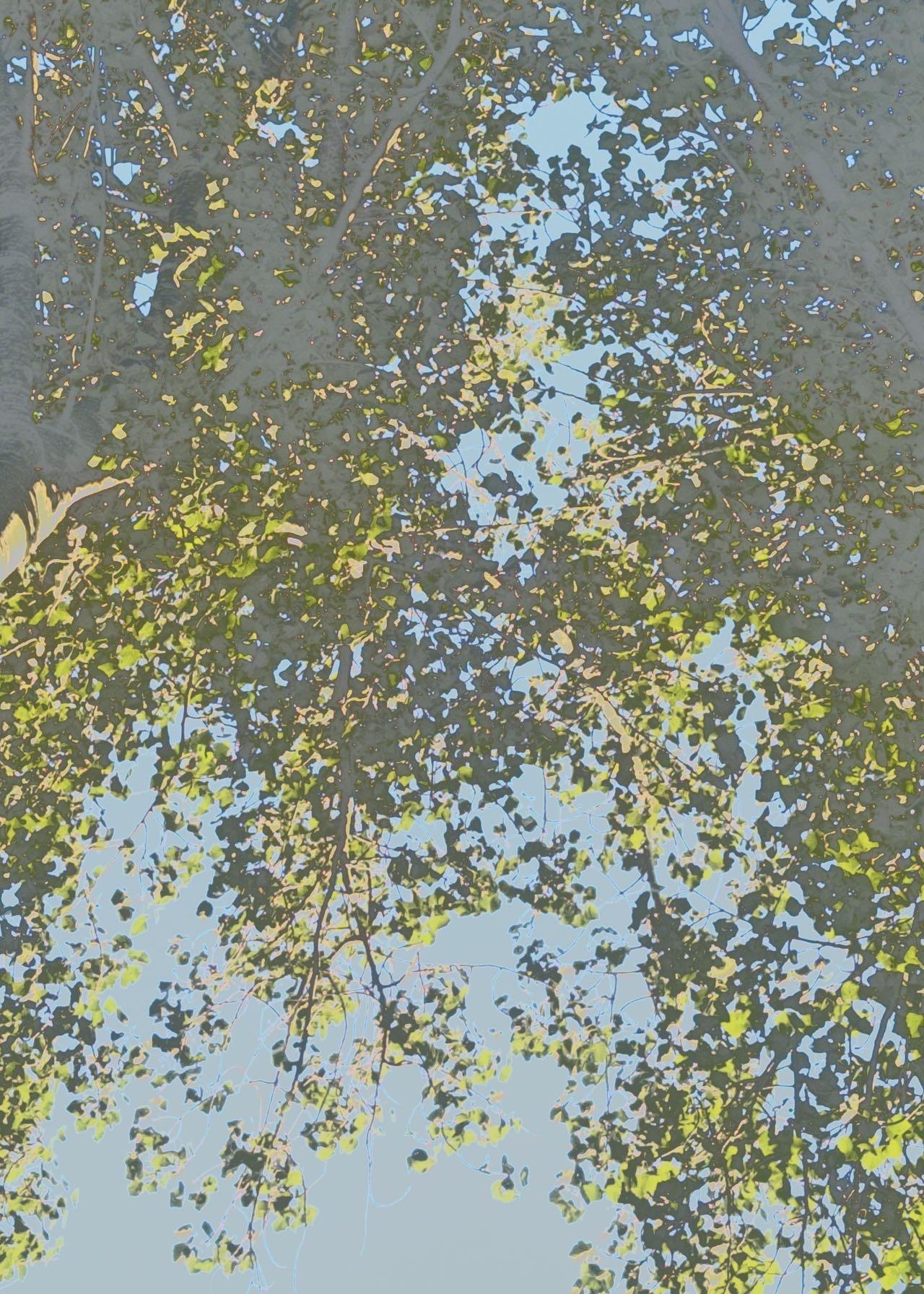 难道我受不起这个热吻？